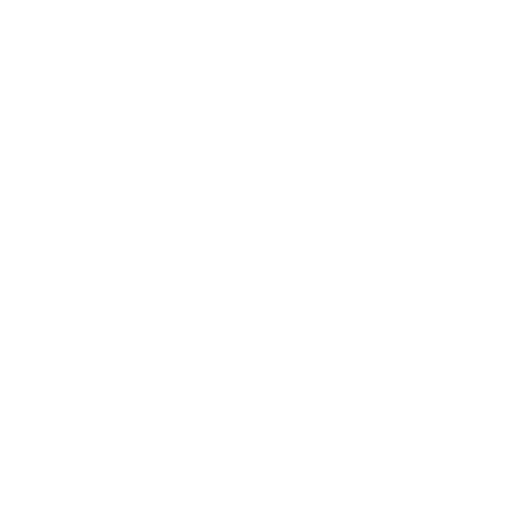 Brainstem