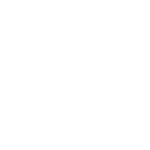 Cerebral cortex