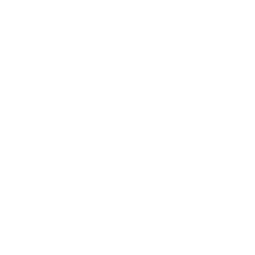 Corpus callosum
