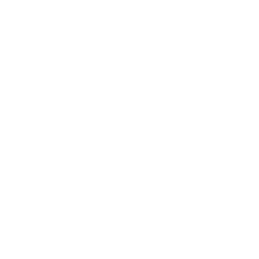 Frontal lobes