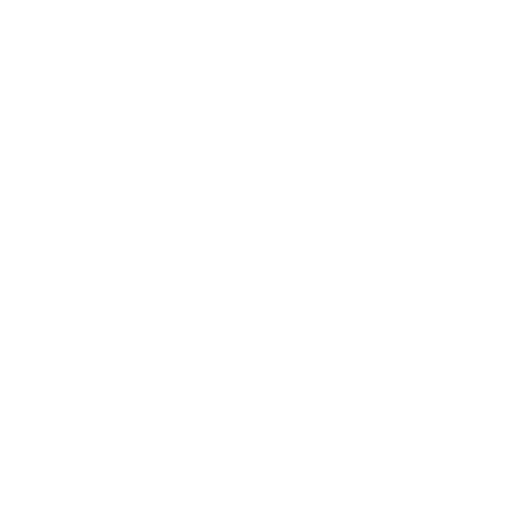 Occipital lobes