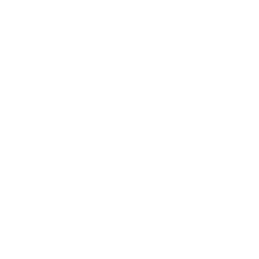 Parietal lobes
