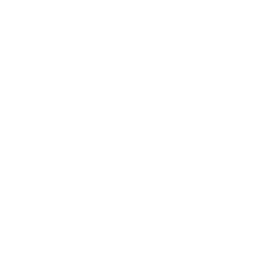 Temporal lobes